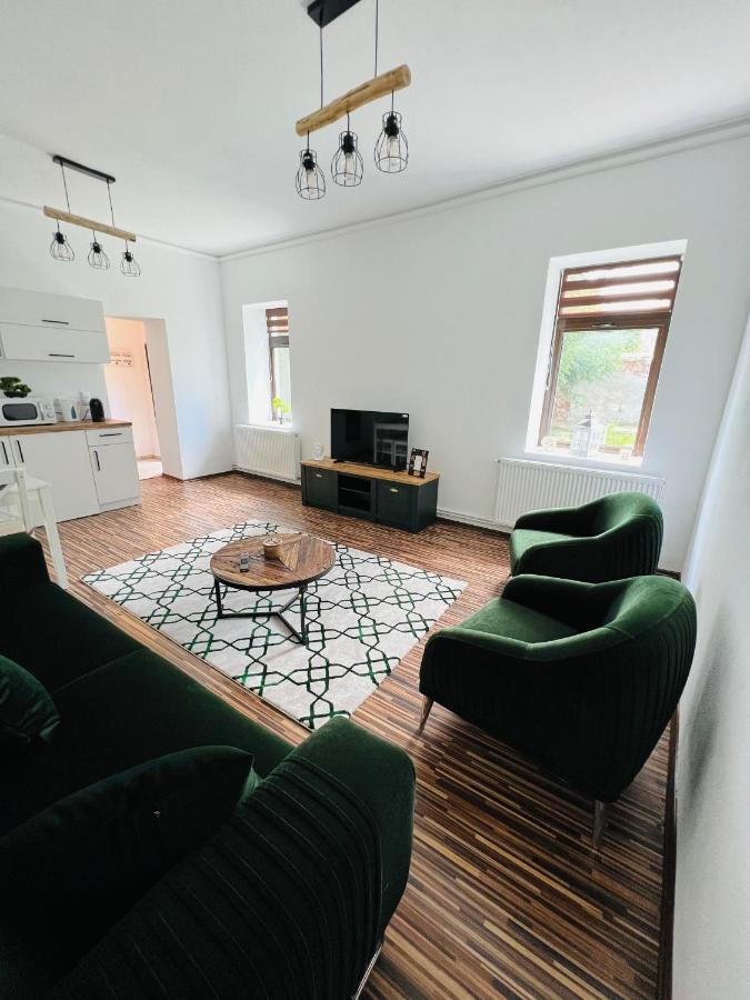 Apartament In Regim Hotelier King Mediaş 外观 照片